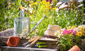 ガーデニング＆ペットグッズ イメージ